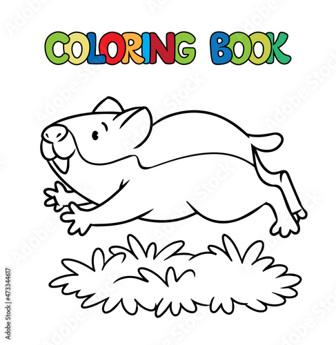 Funny walking hamster. Animal coloring book Vector