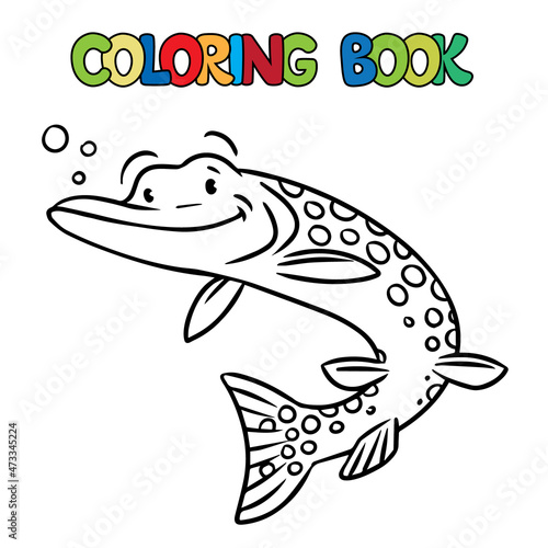 Pike in water coloring book. Kids vector