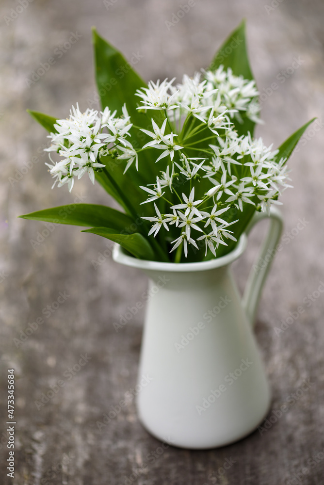 A bouquet of wild garlic flowers in a white vase on a rustic wooden table A bouquet of wild garlic flowers in a white vase on a rustic wooden table