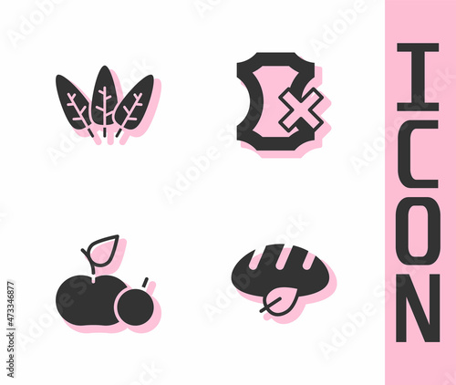 Set Vegan bread loaf, Leaf, Apple and No leather icon. Vector