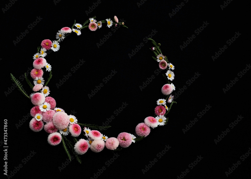 Wreath made of pink blooming daisies Wreath made of pink blooming daisies