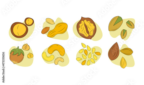 Set of nuts. Collection of healthy products, food for vegetarians. Diet, weight loss, health care. Walnuts, macadamia, hazelnuts. Cartoon flat vector illustrations isolated on white background
