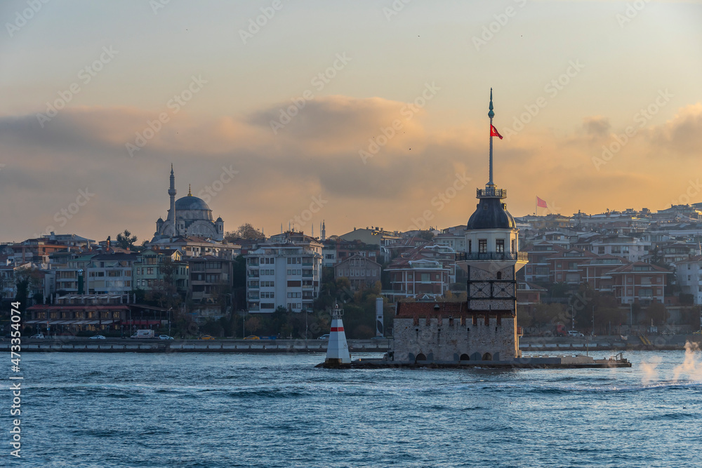 Obraz premium Ferry is on The Bosphorus in Istanbul