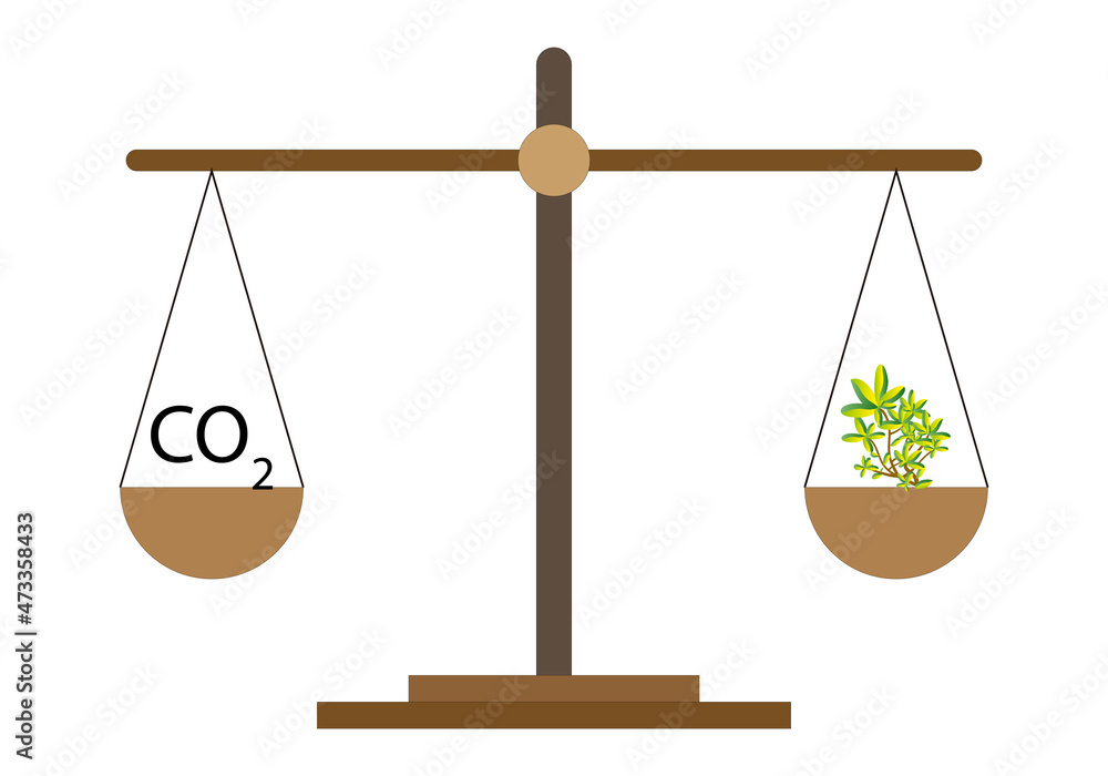 Equilibrio entre emisiones de dióxido de carbono y plantas.