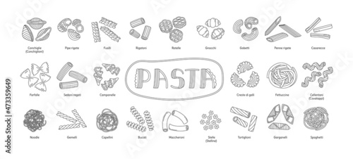 Types of Italian pasta. Vector food sketch bundle. Macaroni illustration set. Rigatoni, fusilli and garganelli. Noodle, stelle, conchiglie and spaghetti. Farfalle, tortiglioni and penne rigate