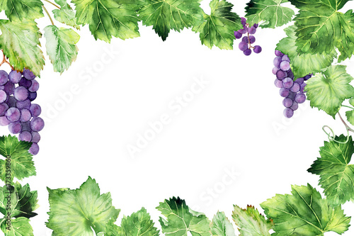 Watercolor frame with grape brushes, branches and leaves of various grape varieties