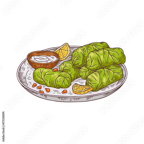 Plate of traditional turkish dish - dolmades in colored sketch style, vector illustration isolated on white background.