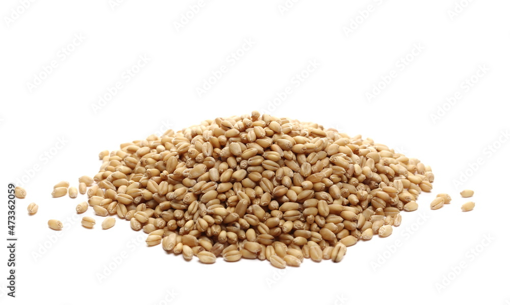 Wheat kernels, grains pile isolated on white background, side view Wheat kernels, grains pile isolated on white background, side view