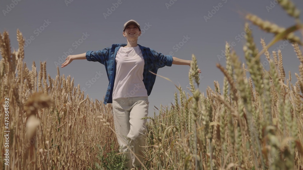 agriculture, happy agronomist runs across the field with raised hands, farmer works in the countryside, ears of wheat on farm, harvest season time, ripe wheat grains on plantation, cheerful villager - obrazy, fototapety, plakaty 