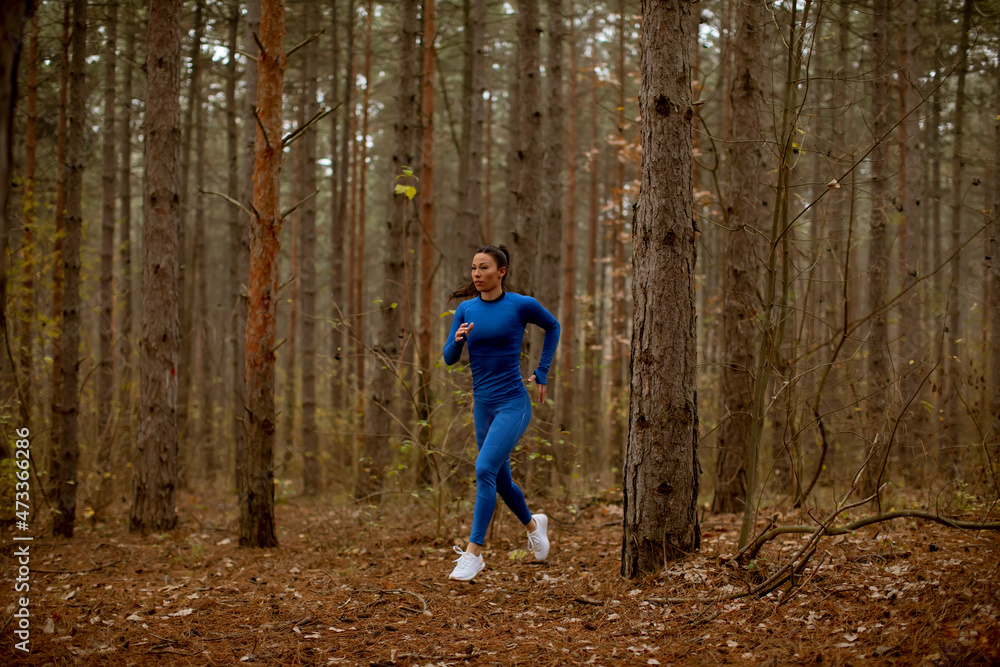 Obraz premium Young woman running on the forest trail at autumn