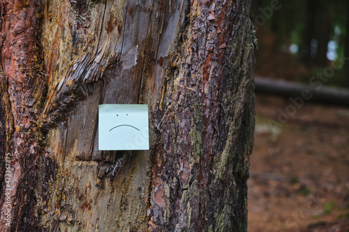 sad emoticon on a sticker glued to an old tree in the forest. get lost in the woods, help those lost in woods
