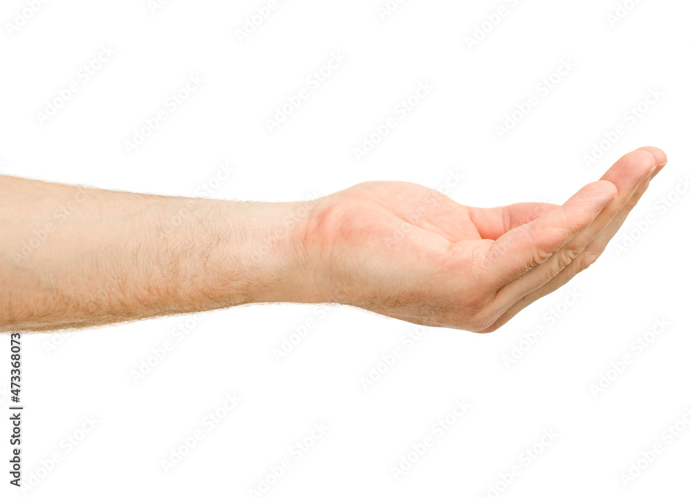 male hand holding something in the palm on white isolated background male hand holding something in the palm on white isolated background