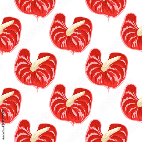 Red anthurium flowers seamless pattern isolated on white background.