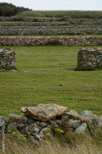 murets de pierre dans la presqu'ile du Cotentin, france