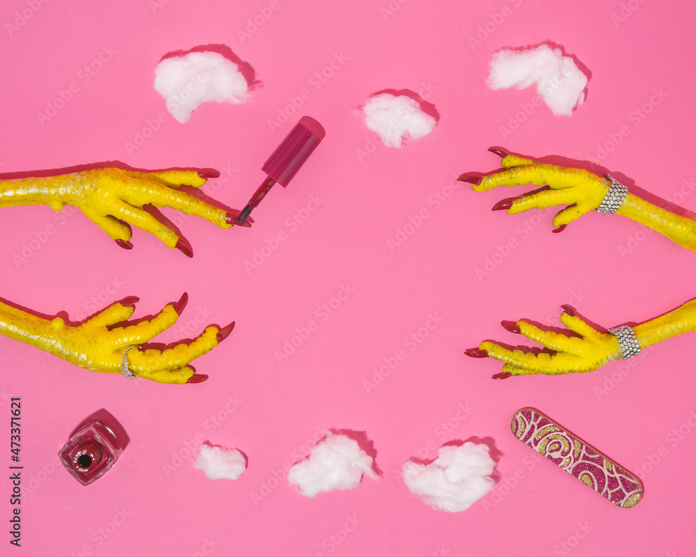 A creative inspirational idea for a chicken manicure and pedicure. Funny, fashion or makeup concept. Surreal aesthetics with copy space. A creative inspirational idea for a chicken manicure and pedicure. Funny, fashion or makeup concept. Surreal aesthetics with copy space.