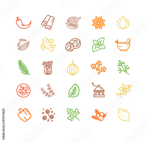 Spices and Herbs Sign Color Thin Line Icon Set. Vector