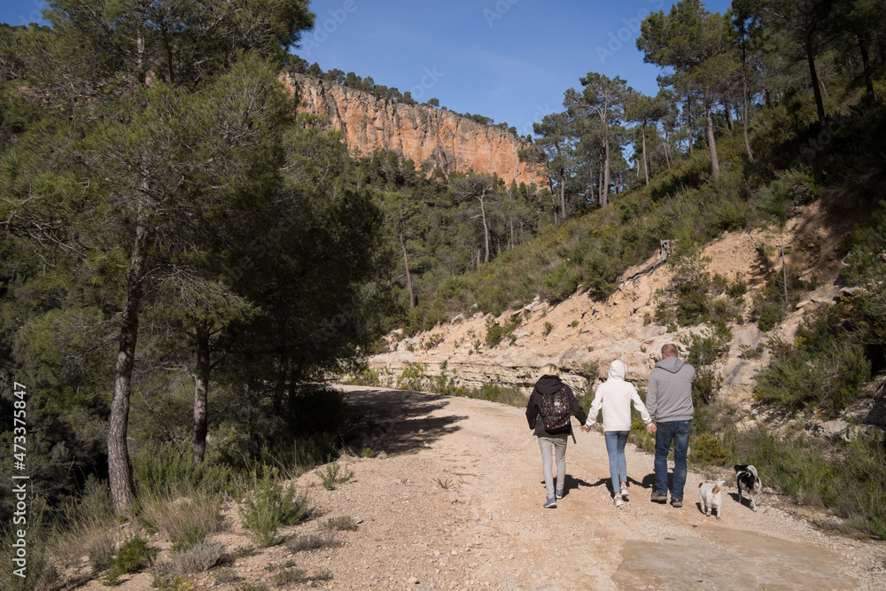 A family with two dogs walking down a gravel road in tree covered hills of Valenciana region in Spain