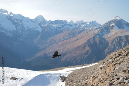 Горы горнолыжный курорт Домбай Кавказ Россия снег Карачаево-Черкессия птица ворона пейзаж