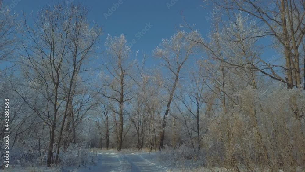 The car is driving on a snow-covered country road. The road is surrounded by snow-covered trees and grass covered with hoarfrost. View through the windshield of the car The car is driving on a snow-covered country road. The road is surrounded by snow-covered trees and grass covered with hoarfrost. View through the windshield of the car
