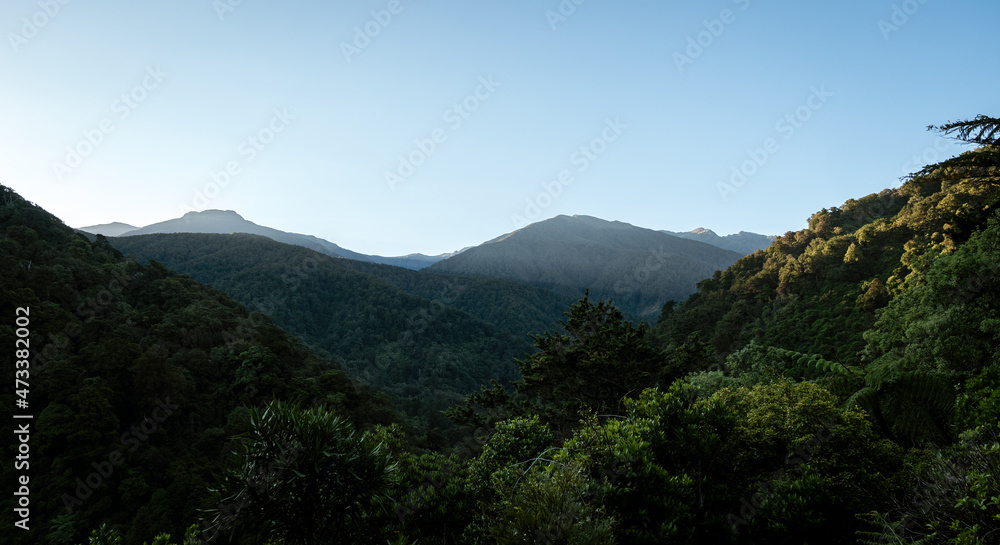 View of the Tararua Forest Park, New Zealand View of the Tararua Forest Park, New Zealand