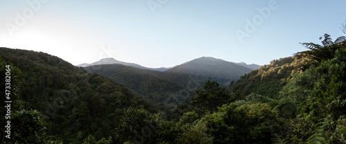 View of the Tararua Forest Park, New Zealand