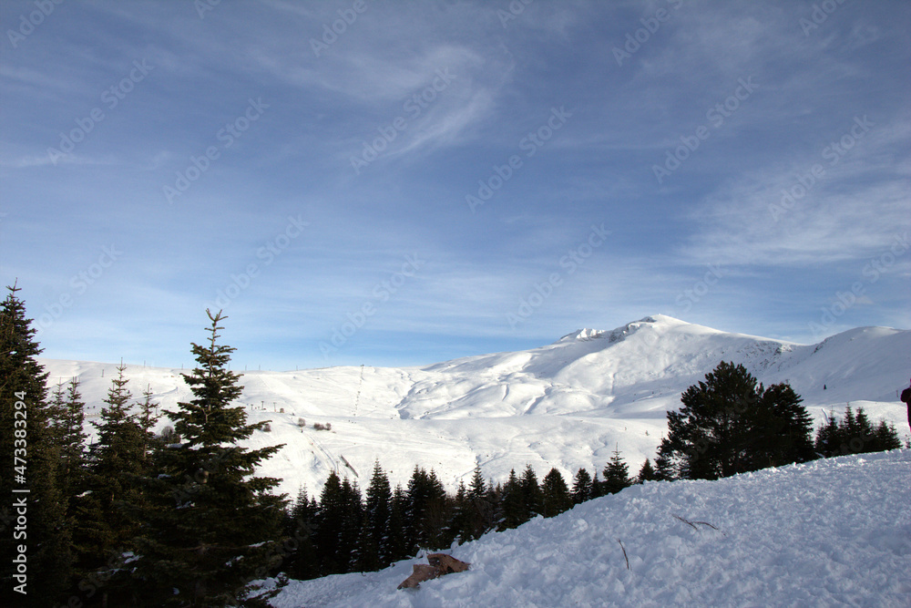 snow covered mountains