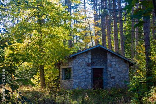 House in the woods in Abruzzo in autumn. Foliage and colors of trees.