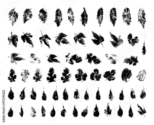 Collection of traced leaves. Black prints of foliage. Vector design elements isolated on a white background.