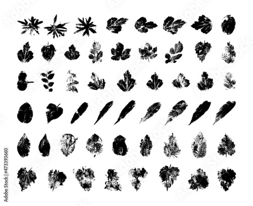 Collection of traced leaves. Black prints of foliage. Vector design elements isolated on a white background.
