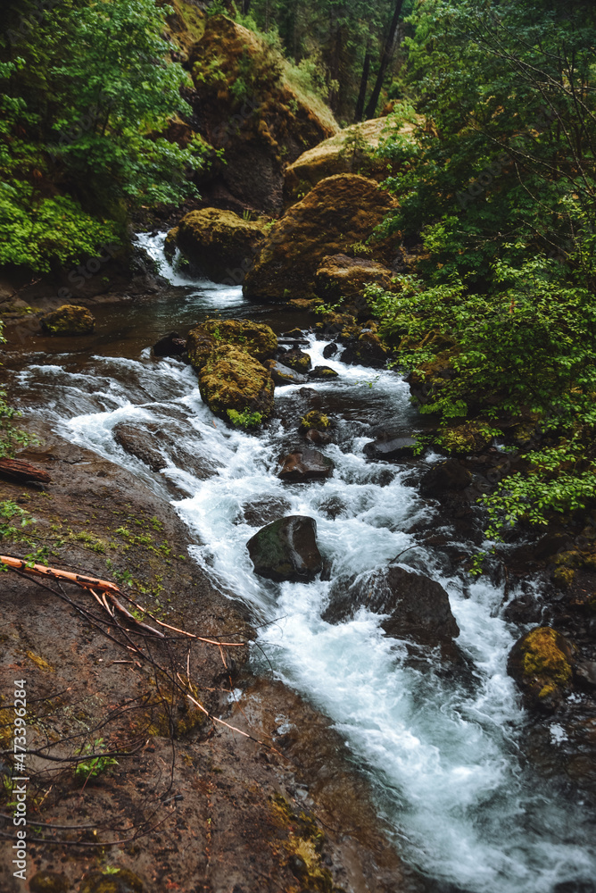 Wahclella Falls In Hood River, Oregon 