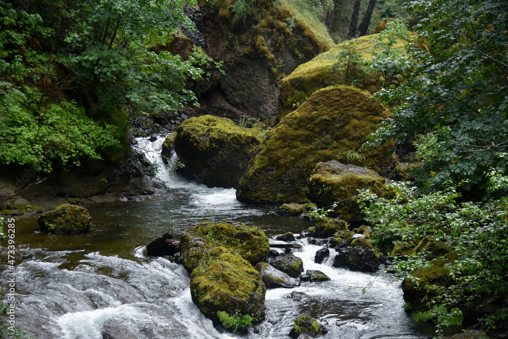 Wahclella Falls In Hood River, Oregon Wahclella Falls In Hood River, Oregon