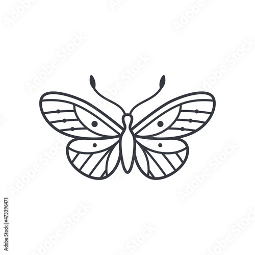 Different type of butterfly. Contour vector illustration for prints, clothing, packaging, stickers, logo, emblem. © Lili Kudrili