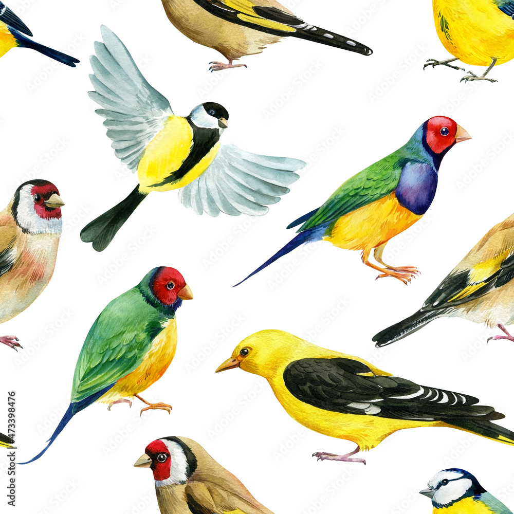 Spring birds watercolor illustration seamless pattern