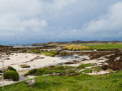 Schilderij op canvas Shore at western point of the Isle of Mull, Scotland