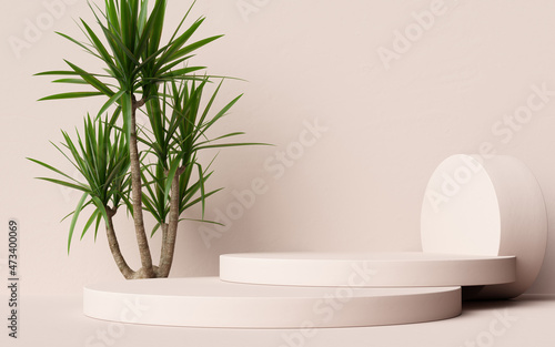 Yucca plant and geometric podium decoration elements for cosmetic product display, object placement mockup with plant 3d rendering
