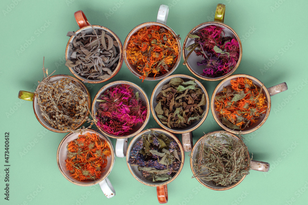 Fototapeta premium Assortment of dried relaxing tea herbs in colourful cups on mint green background. Calendula, mint, anise hyssop, monarda didyma, wormwood, sage leaves.