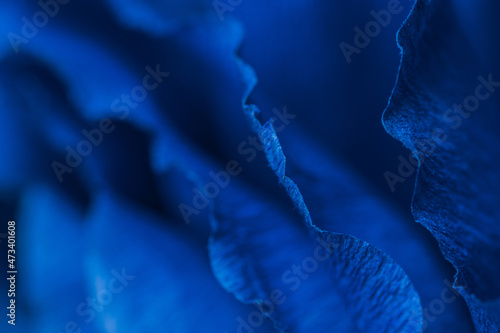 Fragment of a blue flower made of crepe paper. Blurred background