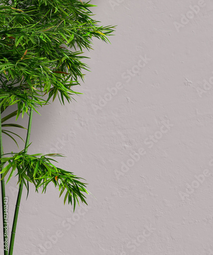 Tropical plants background, textured wall and bamboo leaves decoration, 3d rendering