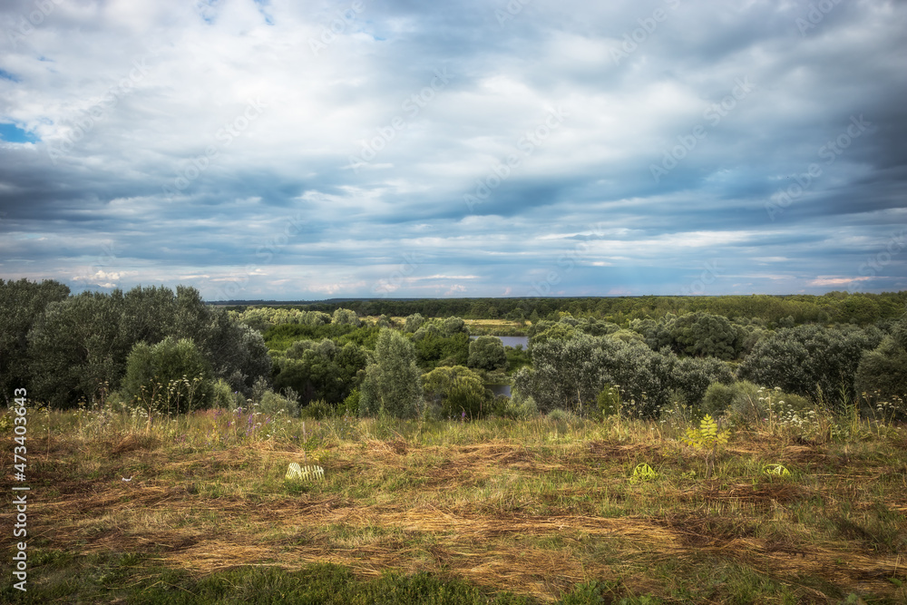 View from hill on rural summer countryside scenery landscape with forest trees on horizon and cloudy sky View from hill on rural summer countryside scenery landscape with forest trees on horizon and cloudy sky