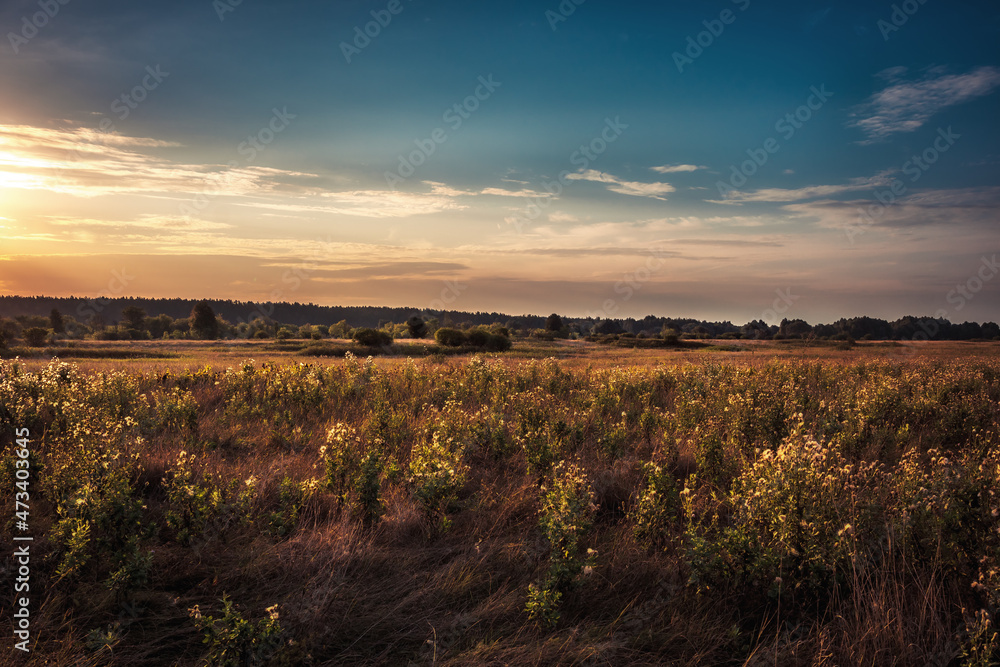 Sunrise meadow scenery with dramatic gradient blue orange morning sky cloudscape and distant forest on horizon 