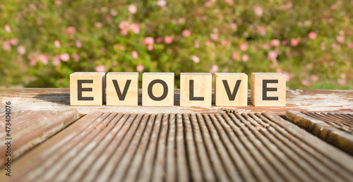 Evolve word made with building blocks, concept