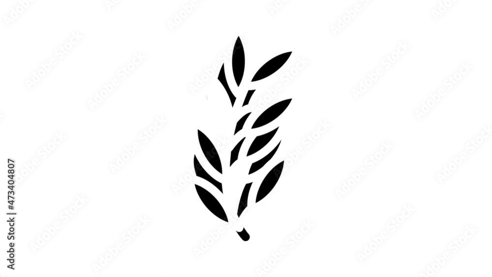 rosemary leaves animated glyph icon rosemary leaves sign. isolated on white background rosemary leaves animated glyph icon rosemary leaves sign. isolated on white background