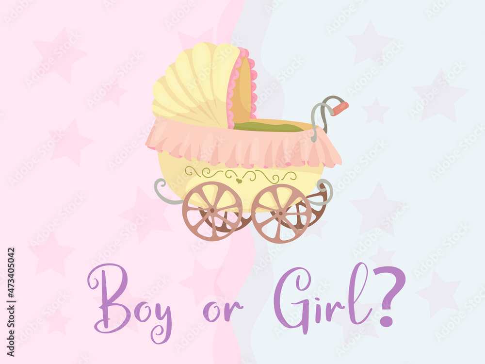 Gender reveal party invitation template. Boy or girl? Baby shower clipart. Blue and pink colors. Gender reveal. Vector illustration Isolated on white background