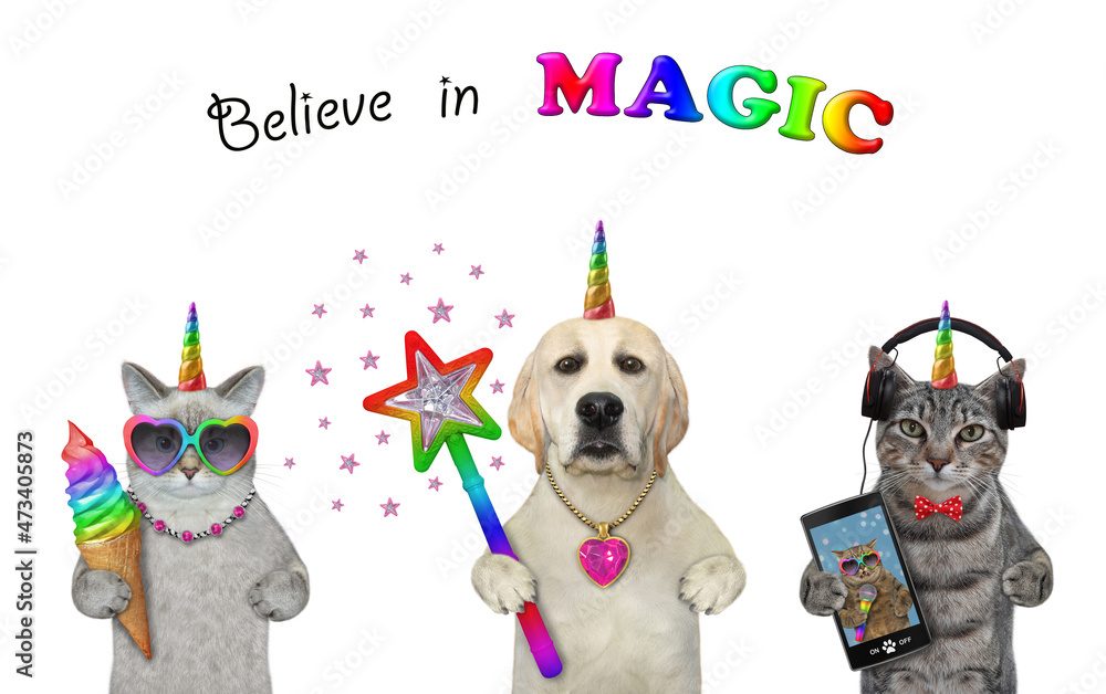 Fototapeta premium Unicorns eat sweets and listen to music. Believe in magic. White background. Isolated.