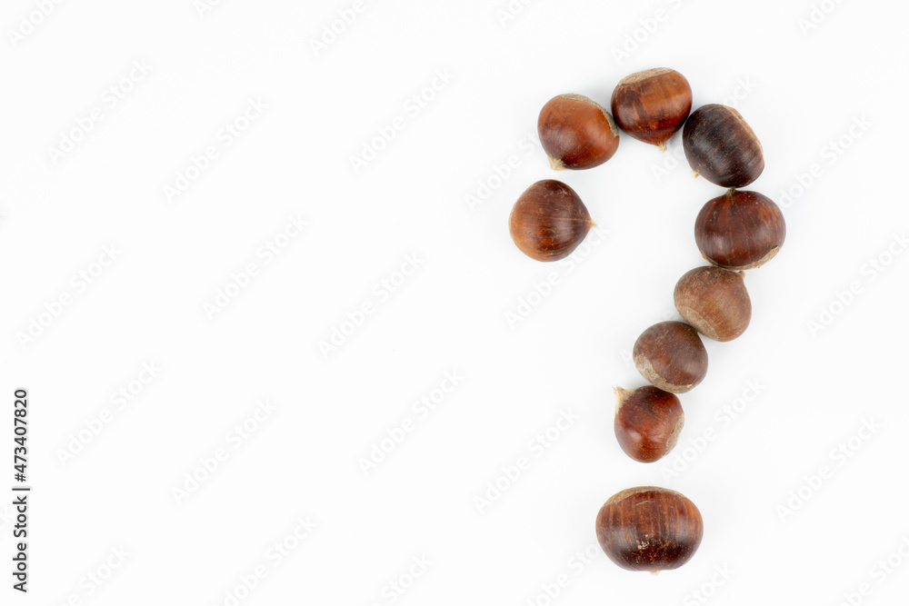 Fresh chestnuts in the form of a question mark on a white background Fresh chestnuts in the form of a question mark on a white background