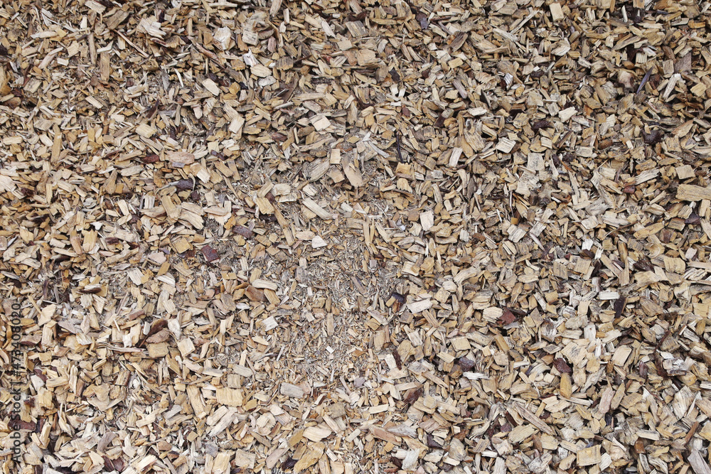 Sawdust wooden filling seamless background Sawdust wooden filling seamless background