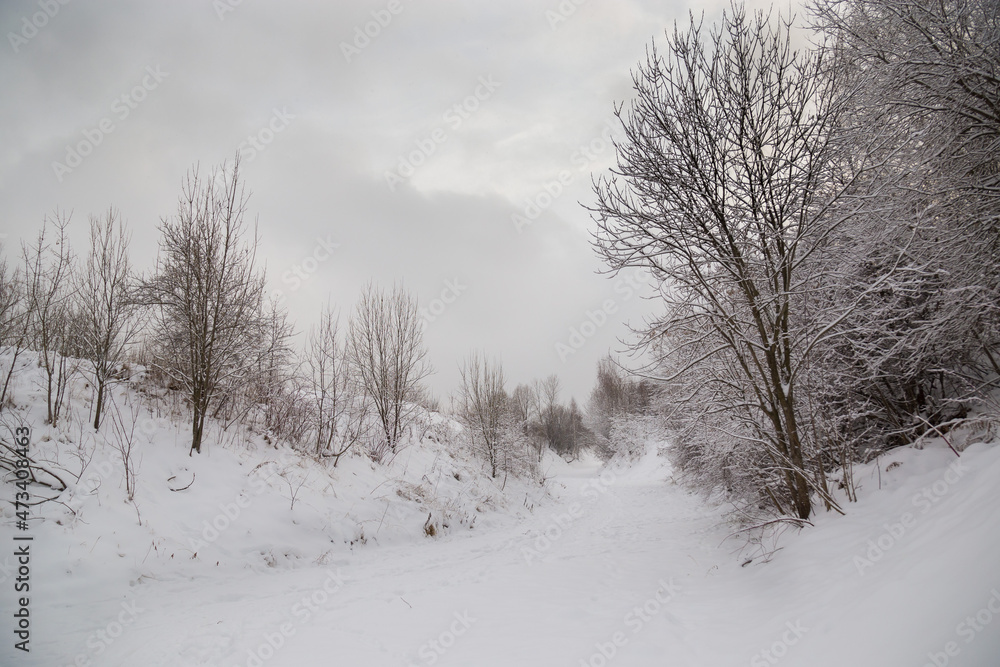 A snow-covered path in a winter forest against a gloomy winter sky. A snow-covered path in a winter forest against a gloomy winter sky.