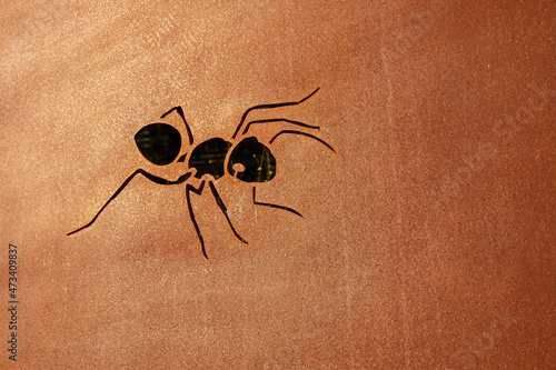 Ant on the corten wall