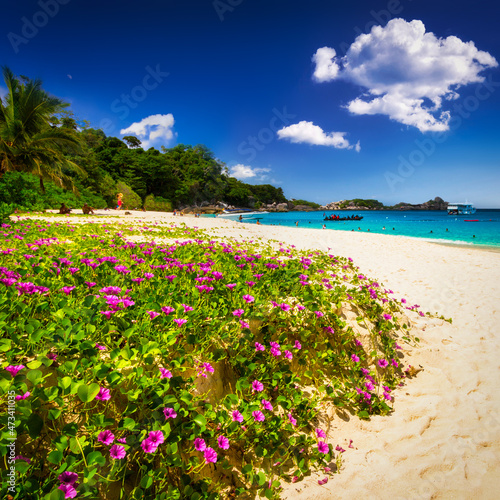 Beautiful beach on the Similan islands at Andaman sea, Thailand