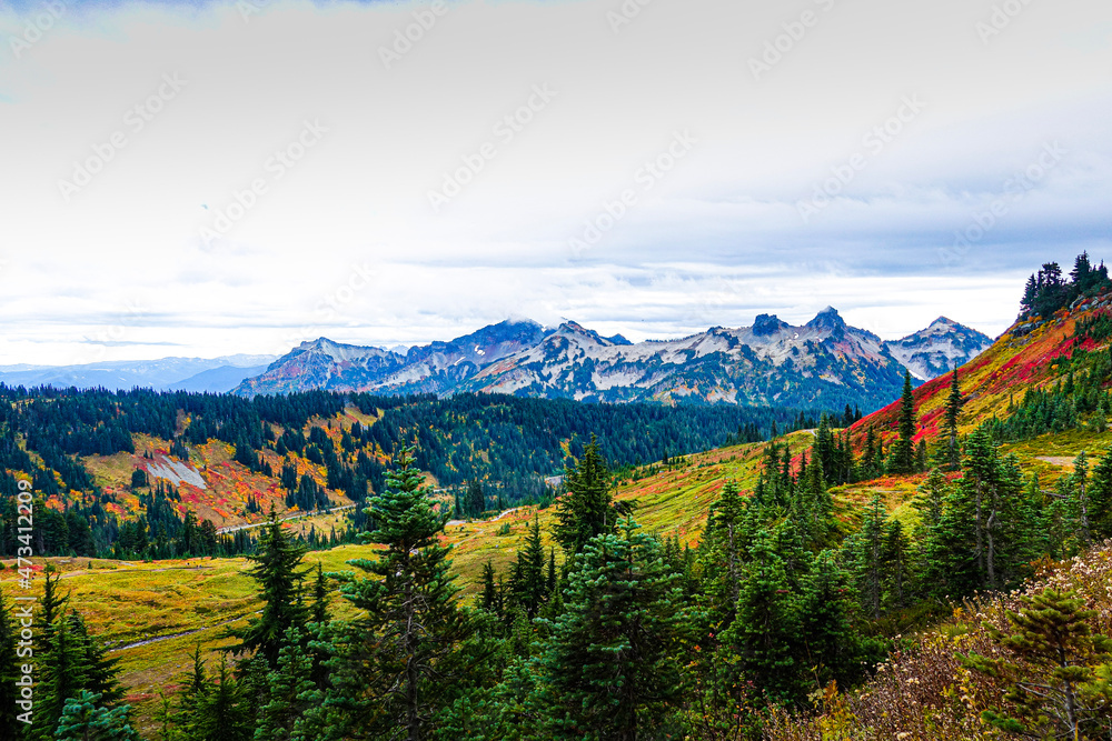Mount Rainier Washington - autumn/fall in the mountains